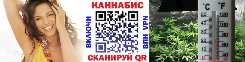 Цена Данков Конопля  МЕГА как зайти  ГАШ  Меф 