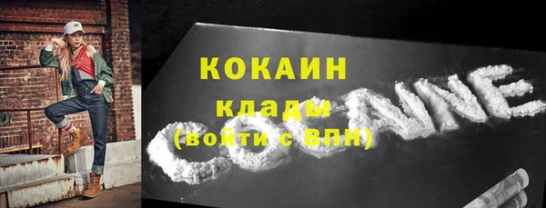 прущие грибы Коряжма