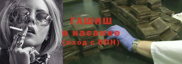 прущие грибы Коряжма