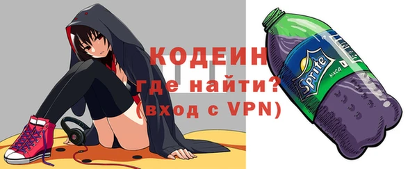 прущие грибы Коряжма