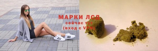 прущие грибы Коряжма