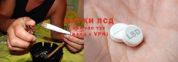 прущие грибы Коряжма