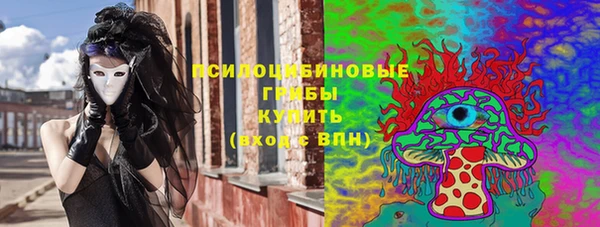 прущие грибы Коряжма