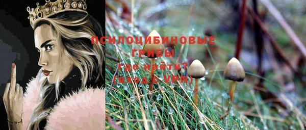 меф Корсаков