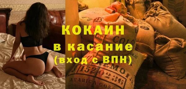 прущие грибы Коряжма