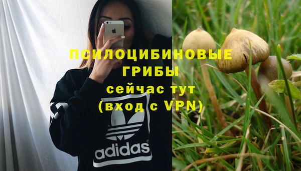 мдма Костерёво