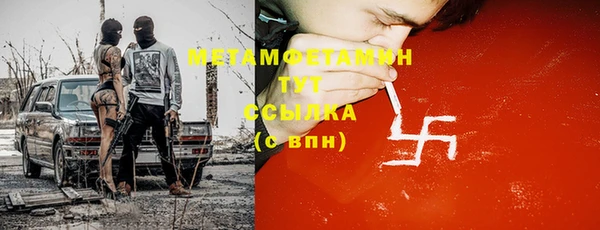 прущие грибы Коряжма