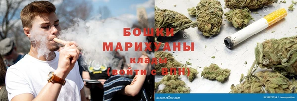 прущие грибы Коряжма